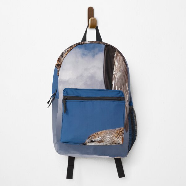 Item preview, Sandpiper in Flight designed and sold by Tom McPherson Photography.