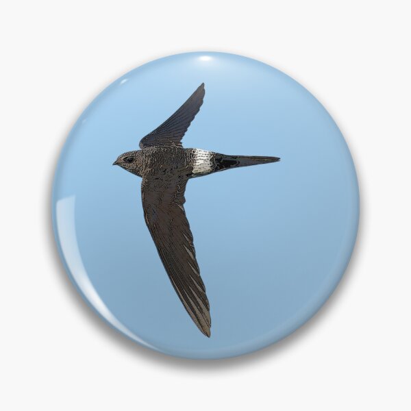 Item preview, Pacific Swift Color Design  designed and sold by designsasstultd.