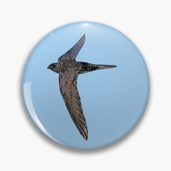 Item preview, Pacific Swift Black Alternate Design  designed and sold by designsasstultd.