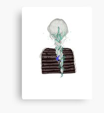 Carefree Fairy Canvas Print