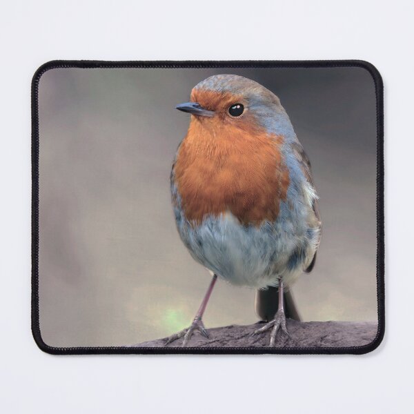 Item preview, Robin Redbreast designed and sold by Tom McPherson Photography.