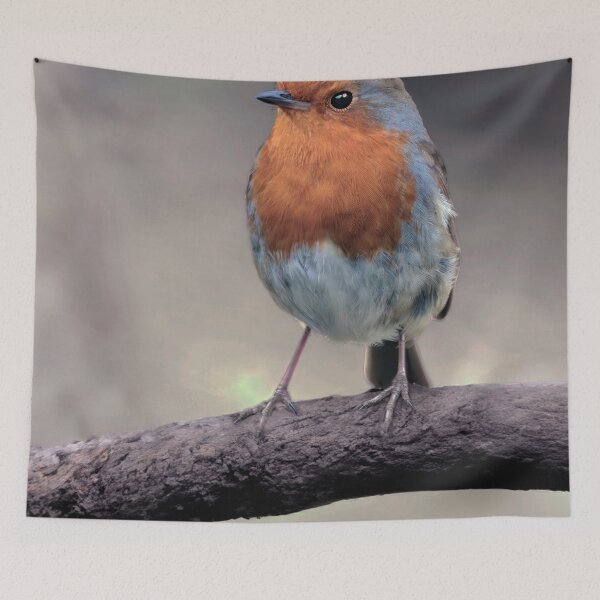 Item preview, Robin Redbreast designed and sold by Tom McPherson Photography.