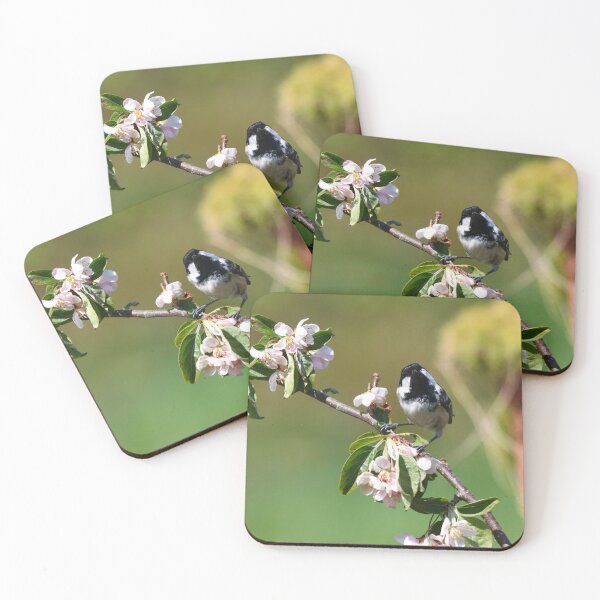 Item preview, Curious coal tit designed and sold by GreyFeatherPhot.