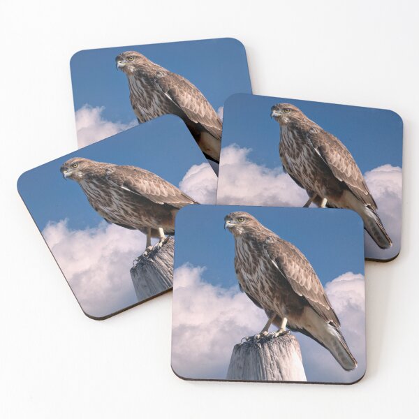 Item preview, Female Sparrowhawk designed and sold by Tom McPherson Photography.