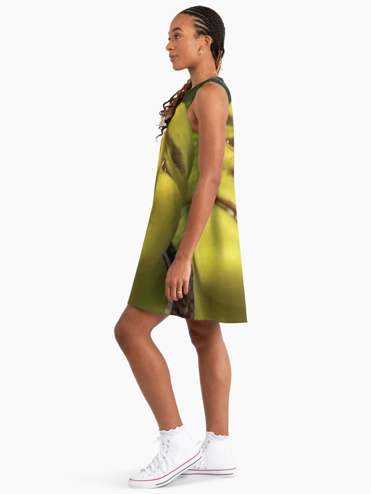 Romantic Shrek *Bites Lip* Meme From Shrek Green Ogre Man Rizz" A-Line Dress  for Sale by Neesu | Redbubble