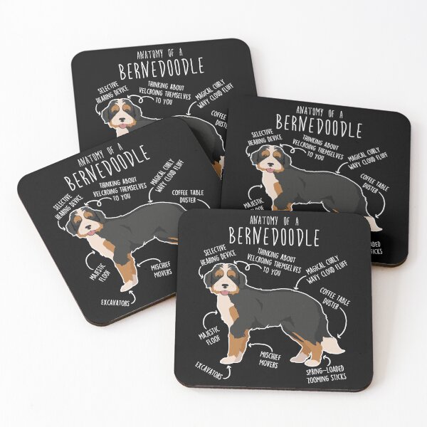 Artikelvorschau, Anatomie des Bernedoodle-Hundes entworfen und verkauft von Clara Hollins.