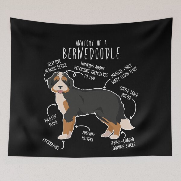 Item preview, Bernedoodle Dog Anatomy designed and sold by Clara Hollins.