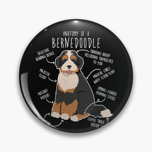 Artikelvorschau, Anatomie des Bernedoodle-Hundes entworfen und verkauft von Clara Hollins.