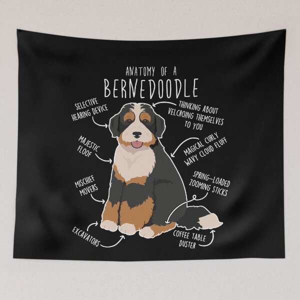 Item preview, Bernedoodle Dog Anatomy designed and sold by Clara Hollins.