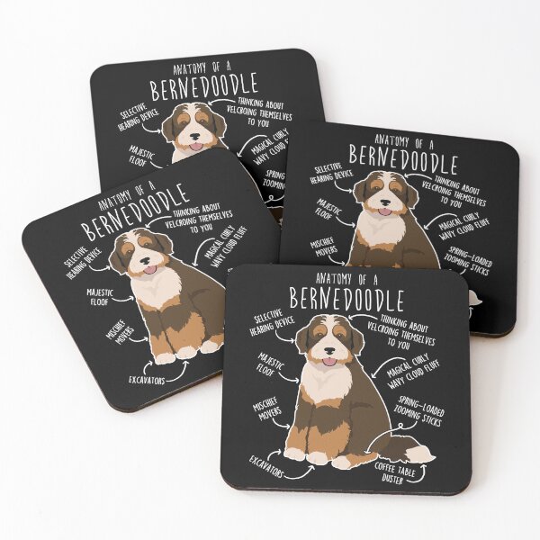Item preview, Bernedoodle Chocolate Tricolor Dog Anatomy designed and sold by Clara Hollins.