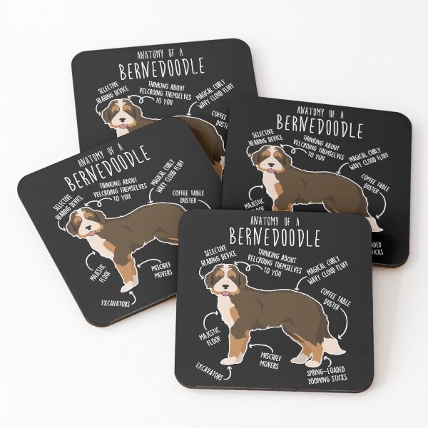 Item preview, Bernedoodle Chocolate Tricolor Dog Anatomy designed and sold by Clara Hollins.