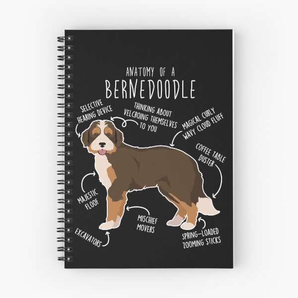 Item preview, Bernedoodle Chocolate Tricolor Dog Anatomy designed and sold by Clara Hollins.