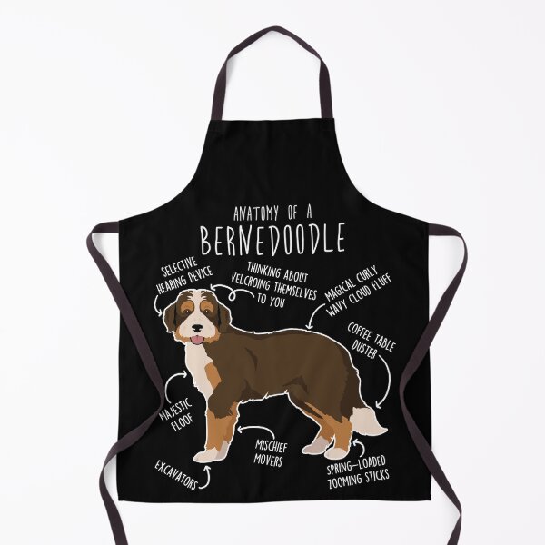 Item preview, Bernedoodle Chocolate Tricolor Dog Anatomy designed and sold by Clara Hollins.