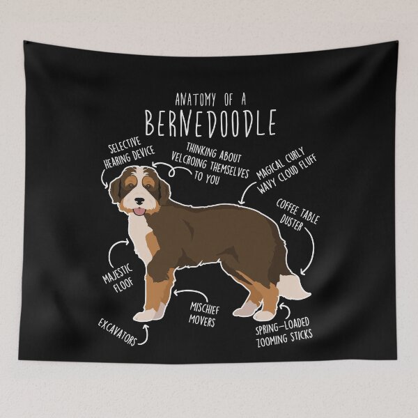 Item preview, Bernedoodle Chocolate Tricolor Dog Anatomy designed and sold by Clara Hollins.