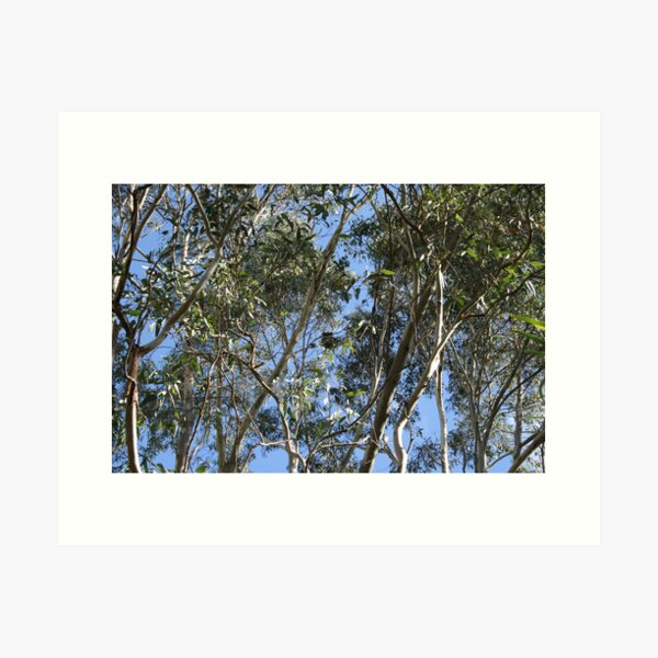 Item preview, Koala in a tree. designed and sold by elphonline.