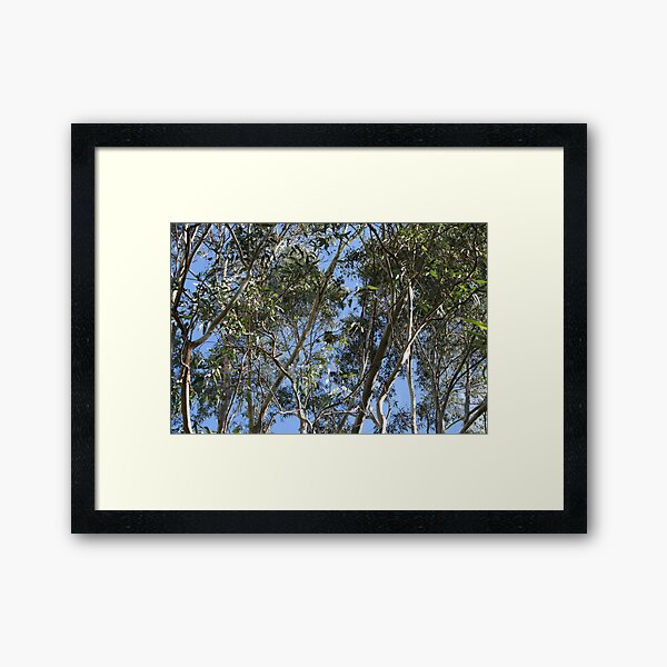 Item preview, Koala in a tree. designed and sold by elphonline.