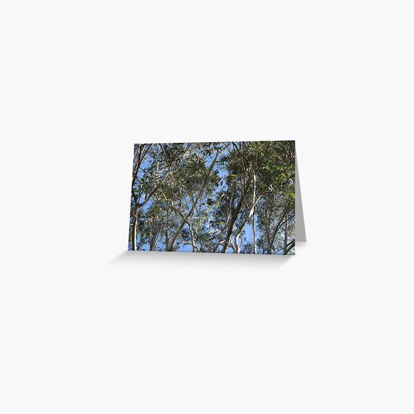 Item preview, Koala in a tree. designed and sold by elphonline.
