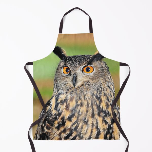 Item preview, Owl designed and sold by MorningFive.