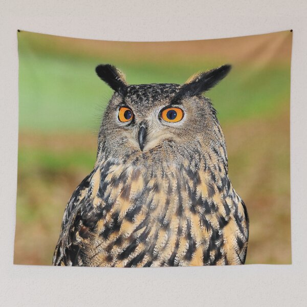 Item preview, Owl designed and sold by MorningFive.
