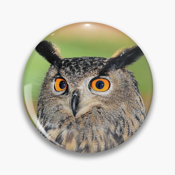 Item preview, Owl designed and sold by MorningFive.