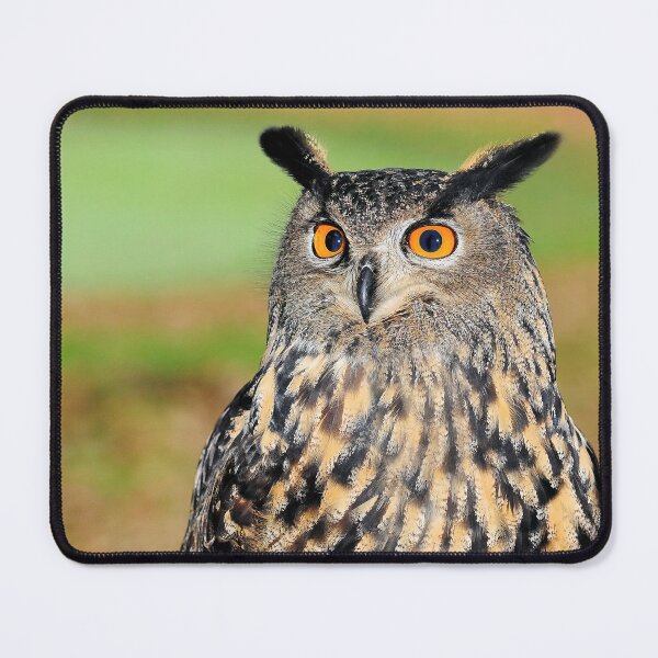 Item preview, Owl designed and sold by MorningFive.