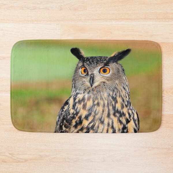 Item preview, Owl designed and sold by MorningFive.
