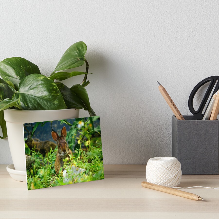 Item preview, Art Board Print designed and sold by MercerImages.