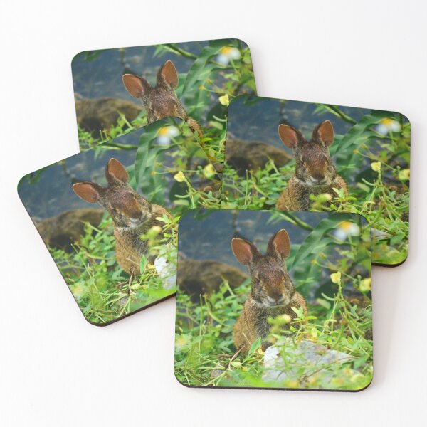 Item preview, Wild Rabbit designed and sold by MercerImages.