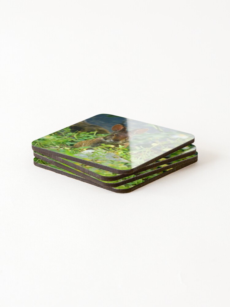 Thumbnail 4 of 5, Coasters (Set of 4), Wild Rabbit designed and sold by MercerImages.