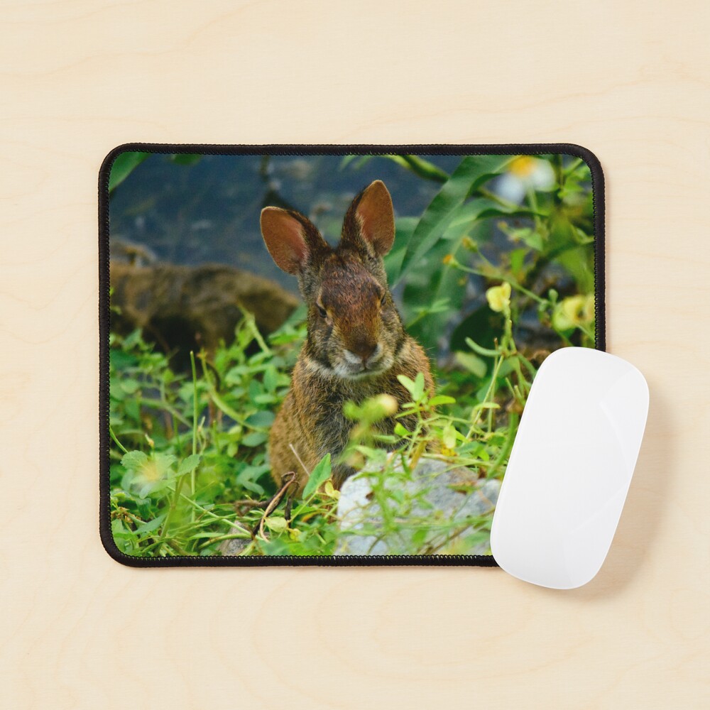 Item preview, Mouse Pad designed and sold by MercerImages.