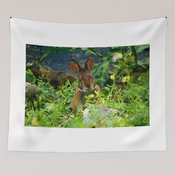 Tapestry