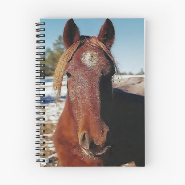 Item preview, Brown Horse Portrait designed and sold by Vivar Photo.