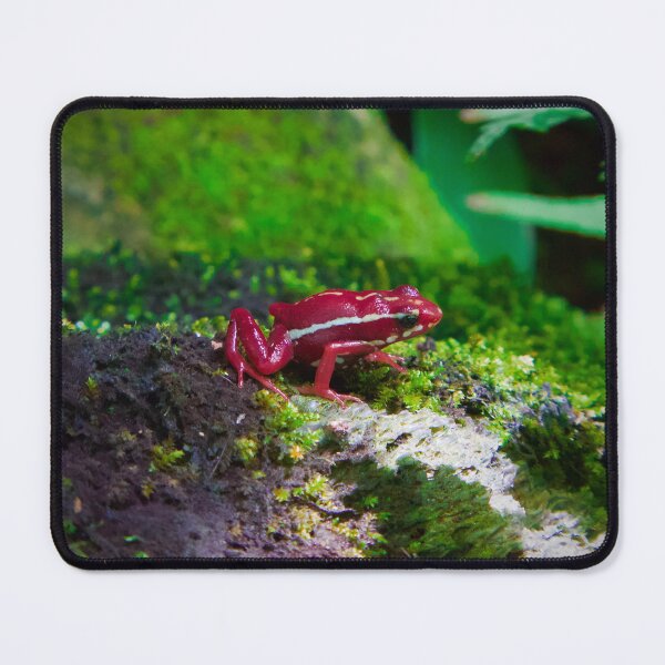 Item preview, Red Ranger Danger Frog designed and sold by CandC-Artistry.