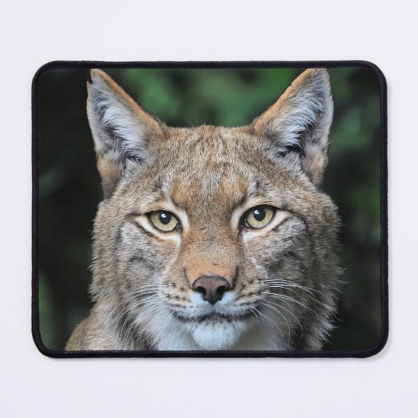 Item preview, Lynx designed and sold by MorningFive.