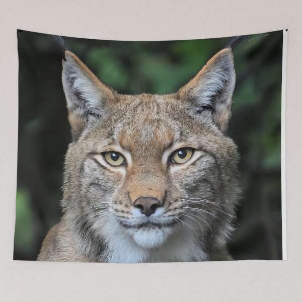 Item preview, Lynx designed and sold by MorningFive.