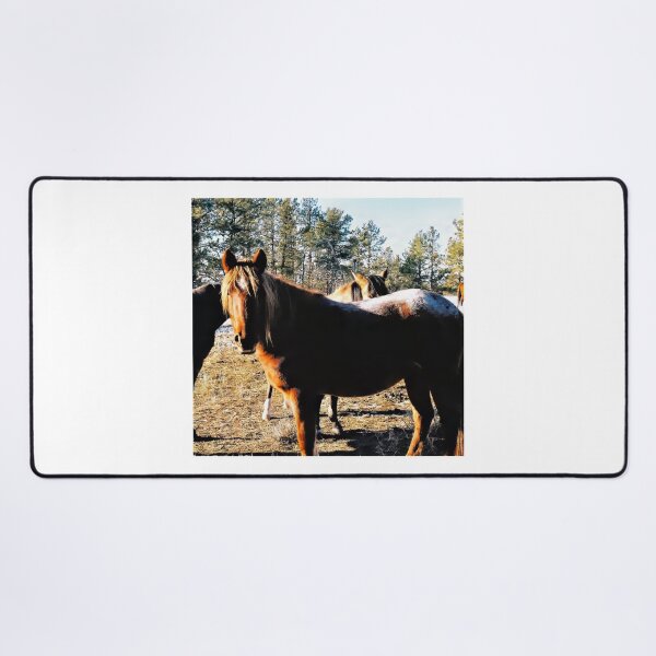 Item preview, Sunkissed Brown Mustang with Frosted Rump designed and sold by Vivar Photo.