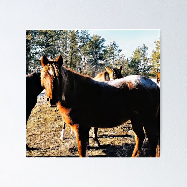 Item preview, Sunkissed Brown Mustang with Frosted Rump designed and sold by Vivar Photo.
