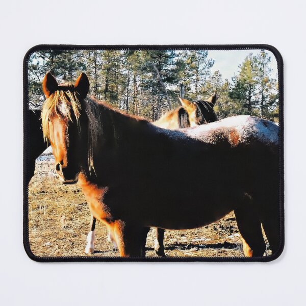 Item preview, Sunkissed Brown Mustang with Frosted Rump designed and sold by Vivar Photo.