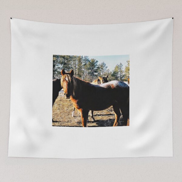 Item preview, Sunkissed Brown Mustang with Frosted Rump designed and sold by Vivar Photo.