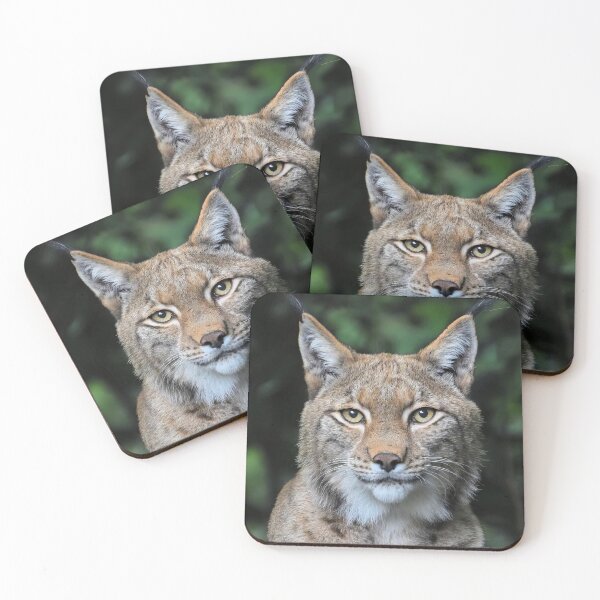 Item preview, Lynx designed and sold by MorningFive.