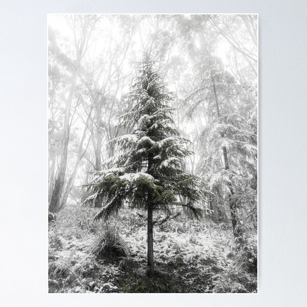 Item preview, Solitary Beauty designed and sold by Joel Bramley.