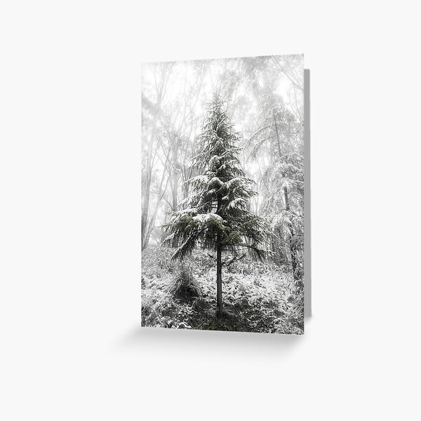 Item preview, Solitary Beauty designed and sold by Joel Bramley.