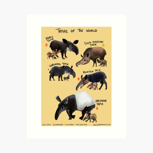 Item preview, Tapirs of the World designed and sold by Green Humour.