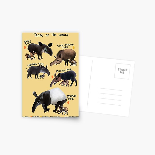Tapirs of the World Postcard