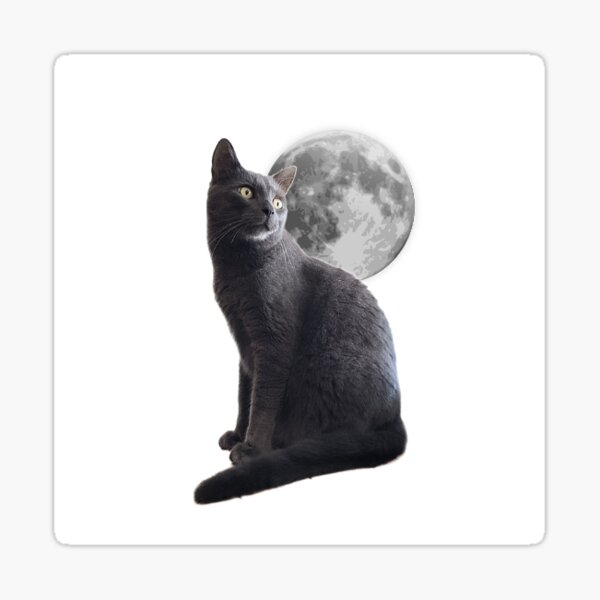 Item preview, Grey cat with moon designed and sold by ScratchJay.