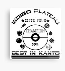 Elite four champion Metal Print