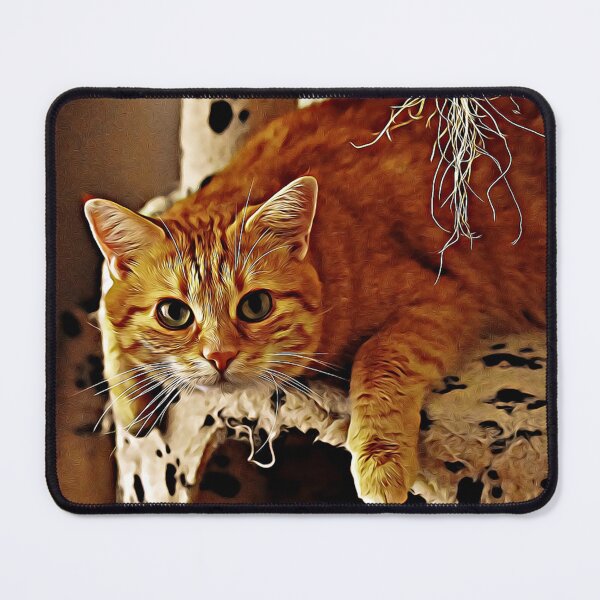 Item preview, Orange cat designed and sold by Mageolicious.