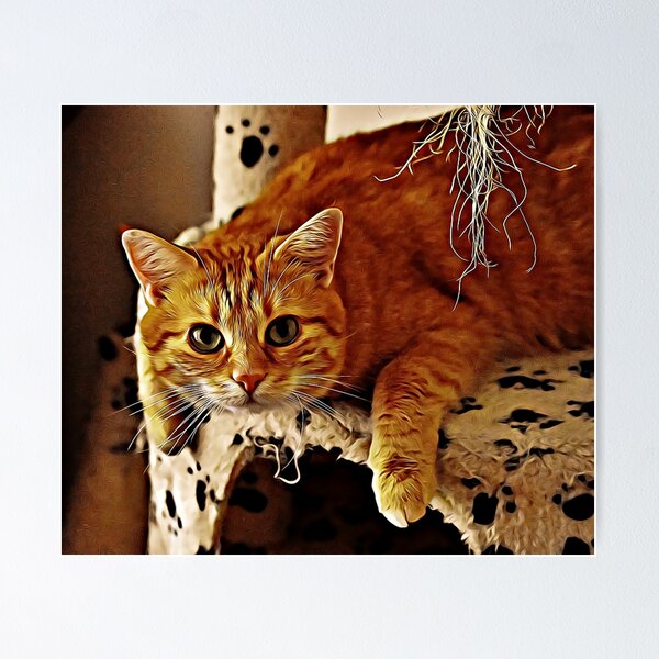 Item preview, Orange cat designed and sold by Mageolicious.