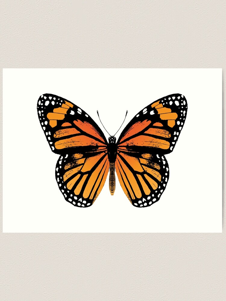 Harmonia sale Tigerwing Butterly Print / Tropical Butterfly / Butterfly Print / Colourful Butterfly Print / Large Print / Butterfly Wall Print