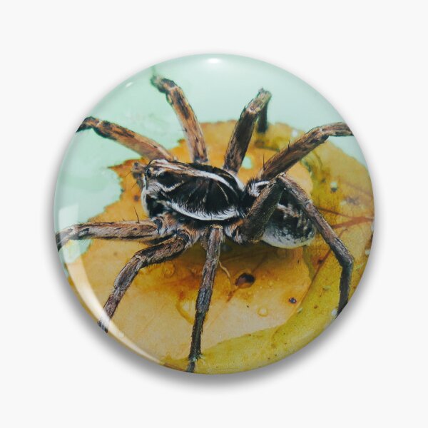 Item preview, Wolf Spider designed and sold by Mishka Gora.